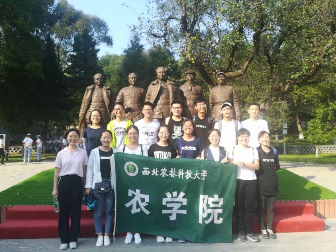 植物大战僵尸反击篇